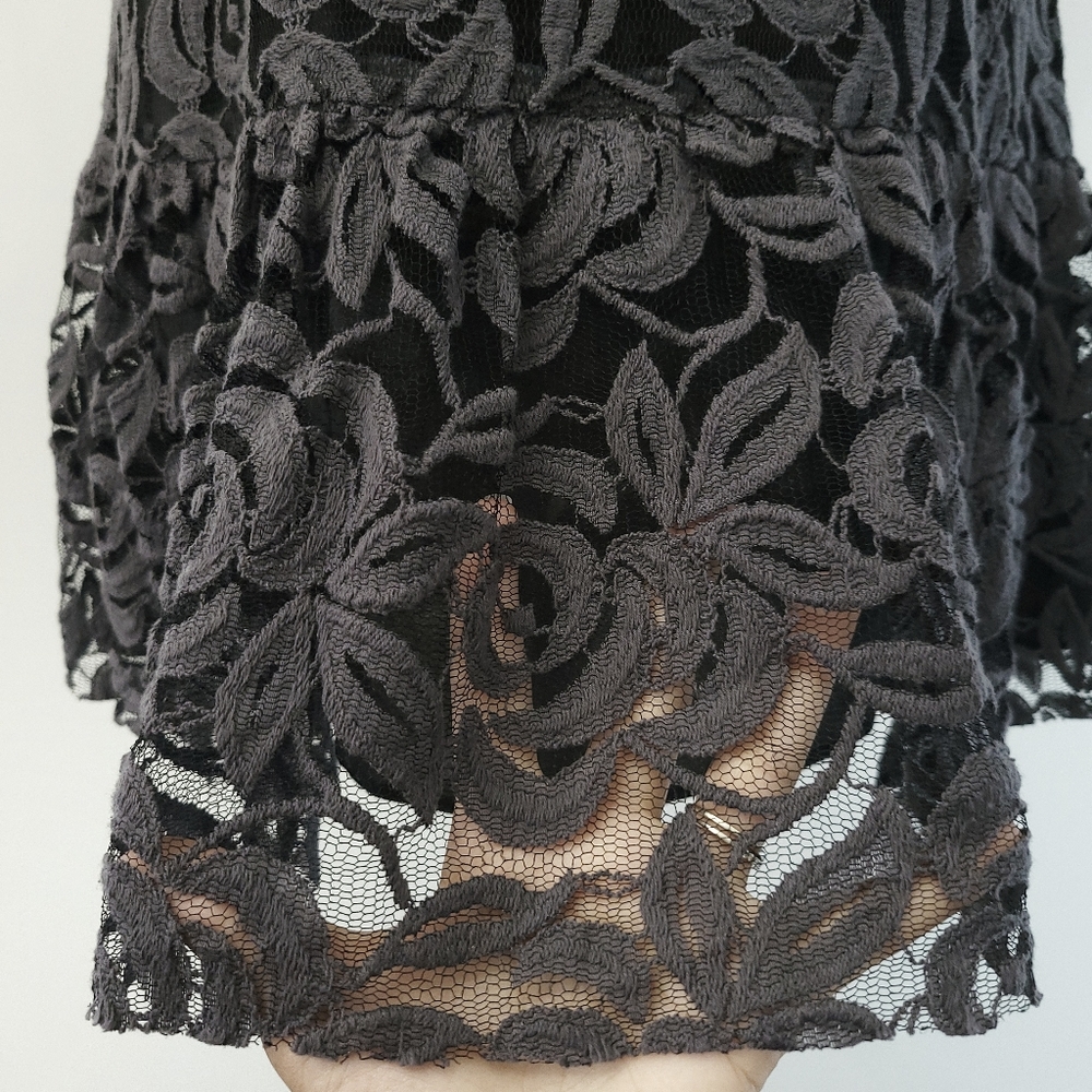 RARE Anna Sui Dark Floral Grey Lace Wild Roses Witchycore Babydoll Dress - Picture 8 of 15